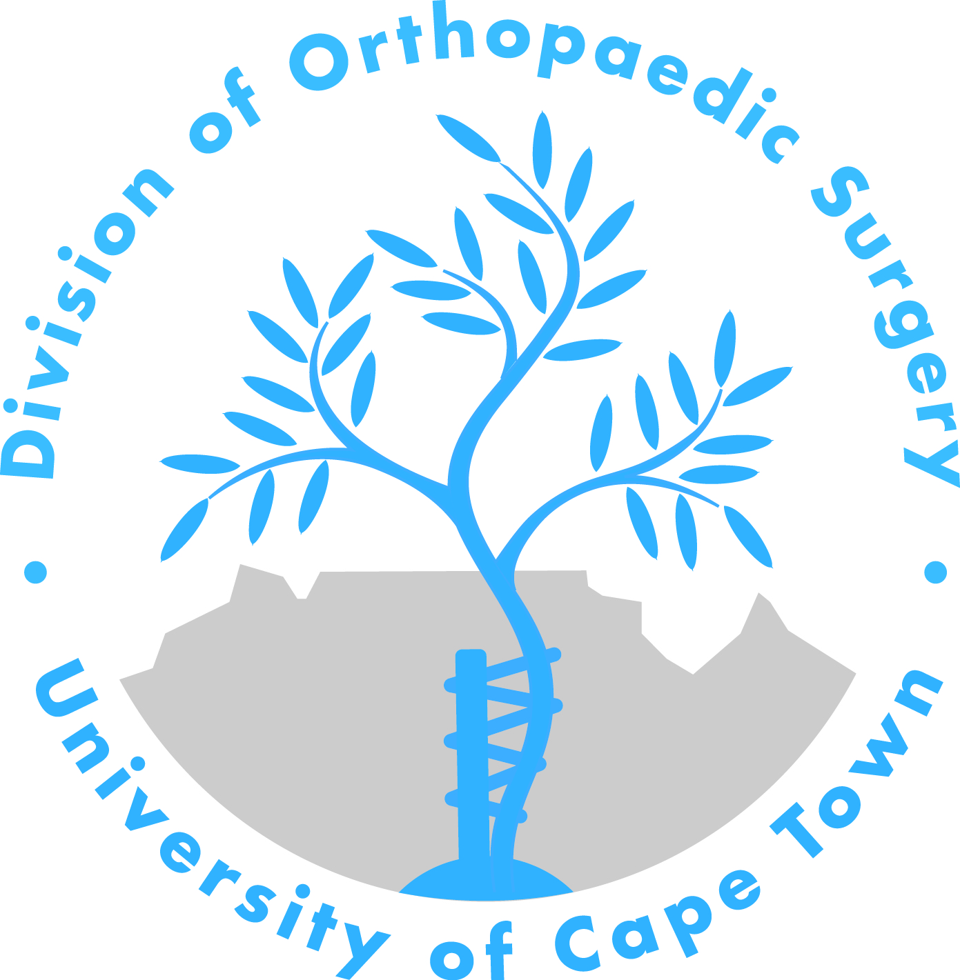 New Orthopaedic logo - 15-08-12 final